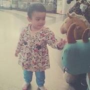 Picture