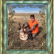 Picture
