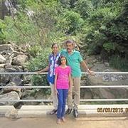 Picture