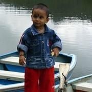 Picture