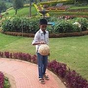 Picture