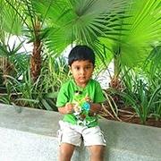 Picture