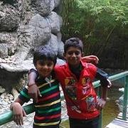 Picture