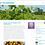 Along the Grapevine » recipes