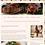This Hungry Kitten » recipe
